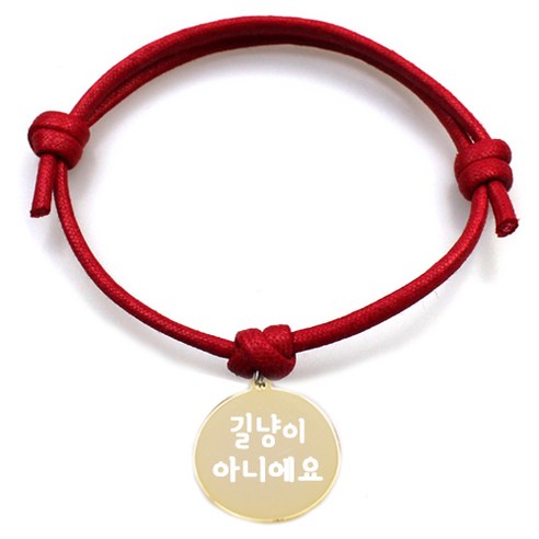 펫츠룩 굿모닝 반려동물 목걸이 원형팬던트 길냥이아니에요, 팬던트(골드), 목걸이(레드)