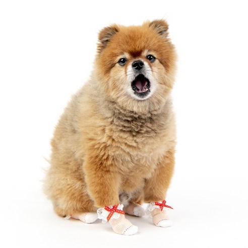 올치 강아지 러블리 미끄럼 소음 방지 관절 보호 양말 4p x 2세트, 베이비핑크