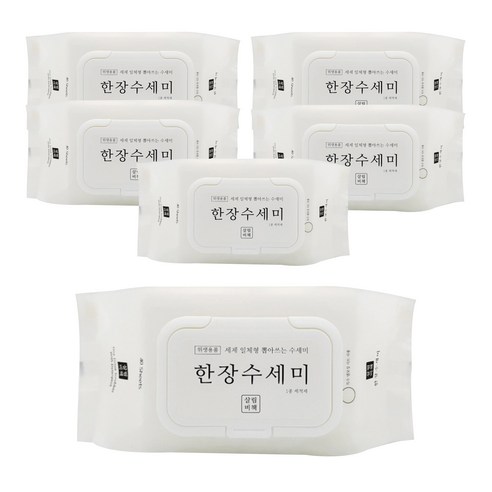 살림비책 일회용 뽑아쓰는 세제일체형 한장수세미 40p, 6개