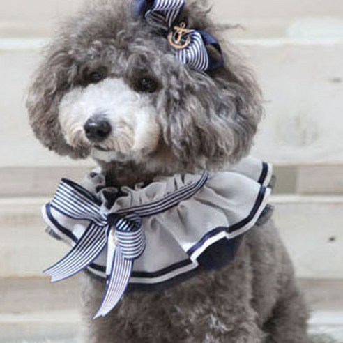 팝앤퍼피 마린 강아지 케이프 L, 블루, 1개