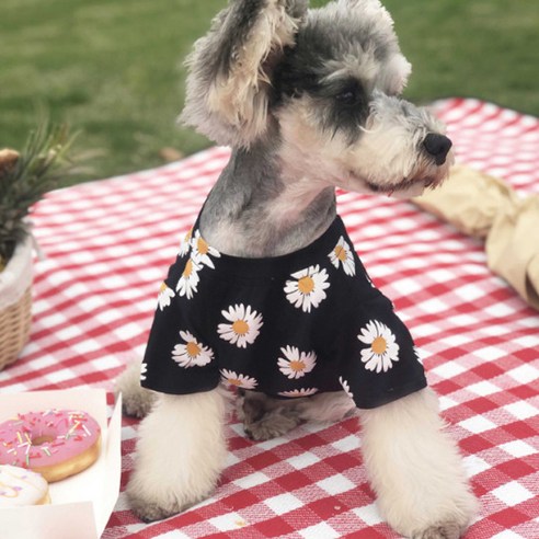 새코밍 강아지 꽃무늬 티셔츠, 블랙