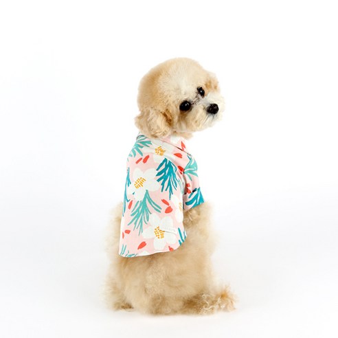 이츠독 샹그리아 강아지 셔츠, 혼합색상