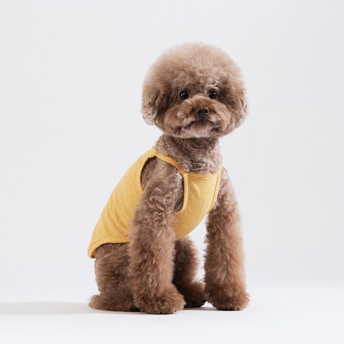 스니프 멜란지나시 강아지 티셔츠, 옐로우