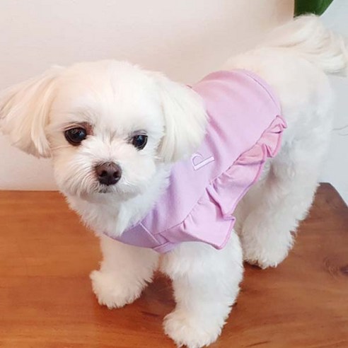 코코마펫 반려동물 오색 프릴 크롭탑, 퍼플