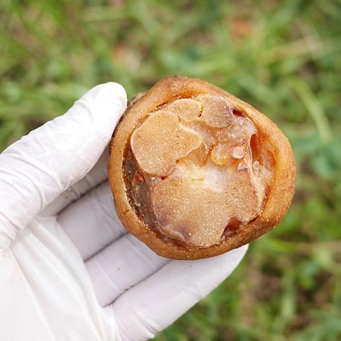 천군맘마 돼지족발: 맛있는 간식으로 댕댕이 관절 건강 지키세요!