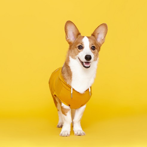 플로트스탠다드 민소매 후드 강아지옷, 옐로우