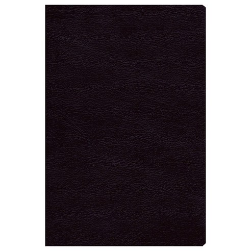 NRSV : Thinline Bible Large Print (Bonded Leather / Burgundy / Comfort Print), ZondervanPublishingHouse