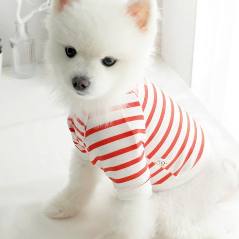 동동이네 데일리 동동이 크롭탑 강아지옷, 오렌지