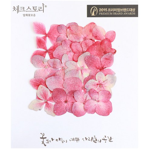체크스토리 압화꽃송이 수국, 레드