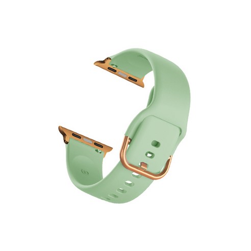 비쉐르 골드 버클 라운드 애플워치 2 실리콘 밴드 스트랩 42mm, 라이트그린, 1개
