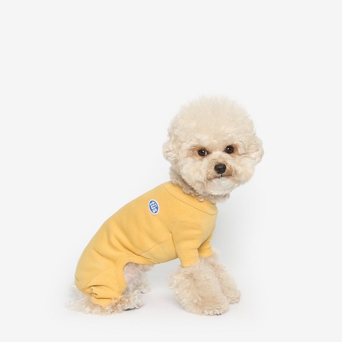 투스투스 강아지 올인원, 옐로우