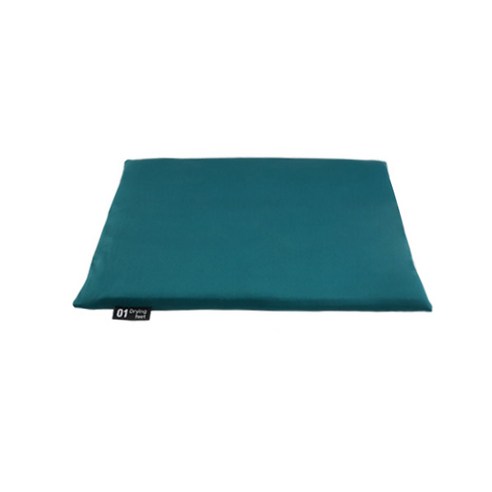 제이라인 빨아쓰는 규조토 발매트 50 x 30 cm, 그린, 1개