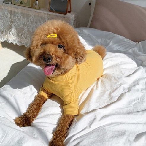 유앤펫 강아지 고양이 잔 스트라이프 폭닥 올인원, 옐로우