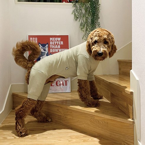 유앤펫 강아지 고양이 잔 스트라이프 폭닥 올인원, 베이지