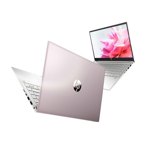 HP 2021 Pavilion 14, 트랜퀼 핑크 + 내츄럴 실버, 코어i5 11세대, 256GB, 8GB, WIN10 Home, 14-dv0075TU