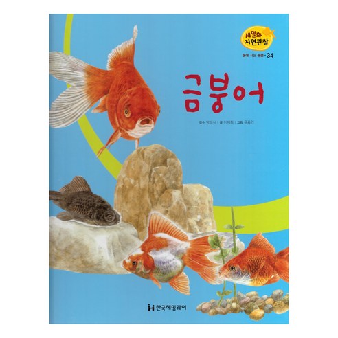 세밀화 자연관찰 34 금붕어 물에 사는 동물, 한국헤밍웨이