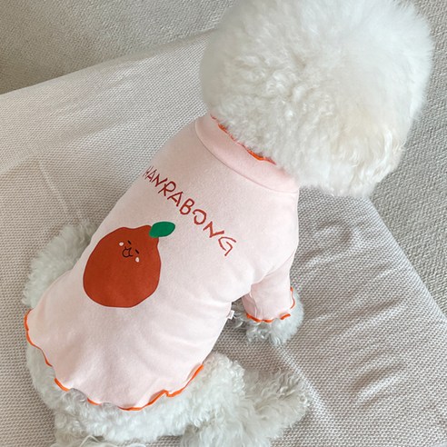 바이담수미 강아지 후르츠칵테일티셔츠, 오렌지