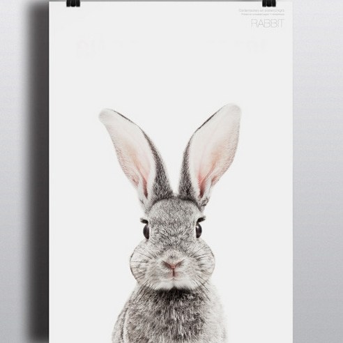 알루이 키즈 액자 포스터 토끼 A3 221B