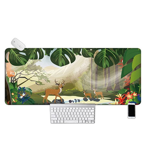 네추럴 마우스장패드 30 x 70 x 0.4 cm, TYPE2, 1개