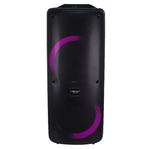 카날스 블루투스 충전용 뮤직 앤 플레이 스피커 더블우퍼 500W 25cm, BS-11000