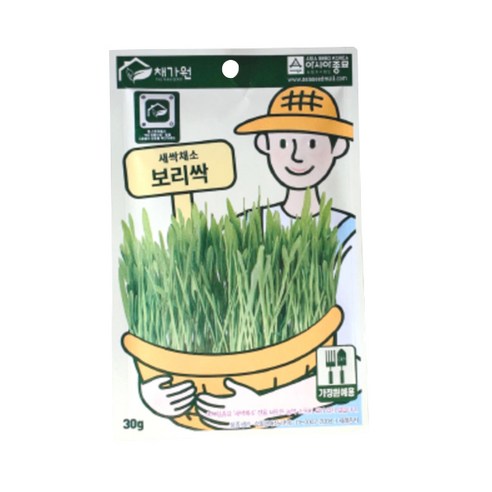 보리싹 캣그라스 30g, 1개, 보리