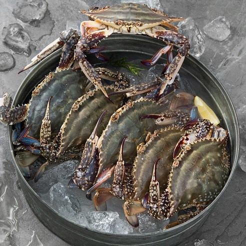 어부심 산지직송 서해안 제철 알배기 암꽃게 (냉장), 2kg (6~10미), 1박스