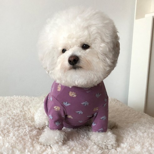 바이담수미 강아지 코알라 티, 퍼플