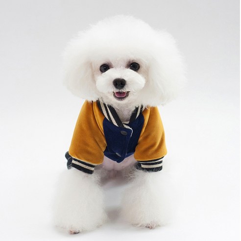 伴侶 寵物用品 小狗 貓 組合使用 服裝 多合一 狗 狗 狗