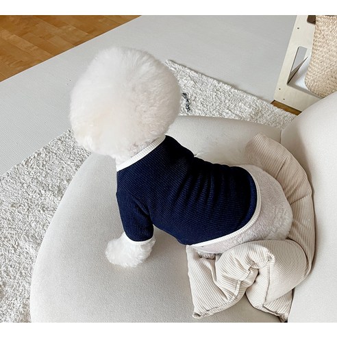 伴侶  寵物產品  小狗  貓  組合使用  服裝  T卹  狗  狗  狗
