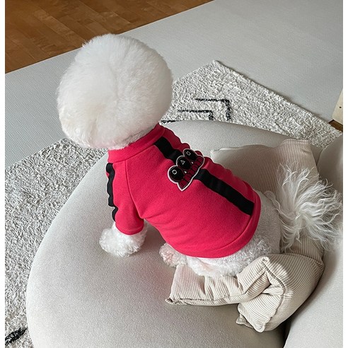 伴侶  寵物產品  小狗  貓  組合使用  服裝  T卹  狗  狗  狗