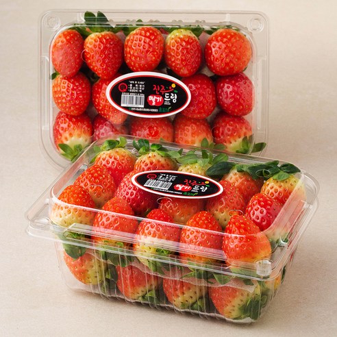 진주드림 진주 설향딸기, 500g(상), 2팩