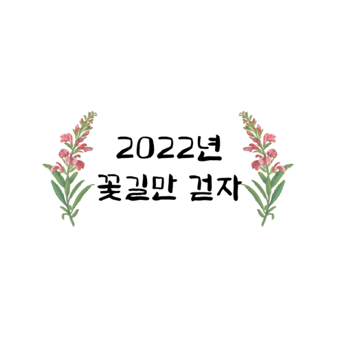 씨밀러살몬 새해 감사인사 편지봉투, 꽃길만 걷자, 5개