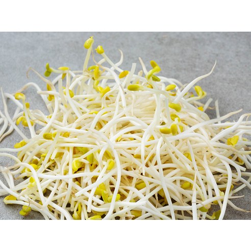 아삭하고 담백한 맛의 아삭한 콩나물