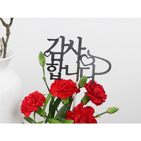 생동감 넘치는 아름다움, 감사와 사랑을 전하는 최적의 선물