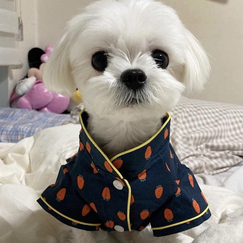 반려동물 당근 셔츠, 네이비