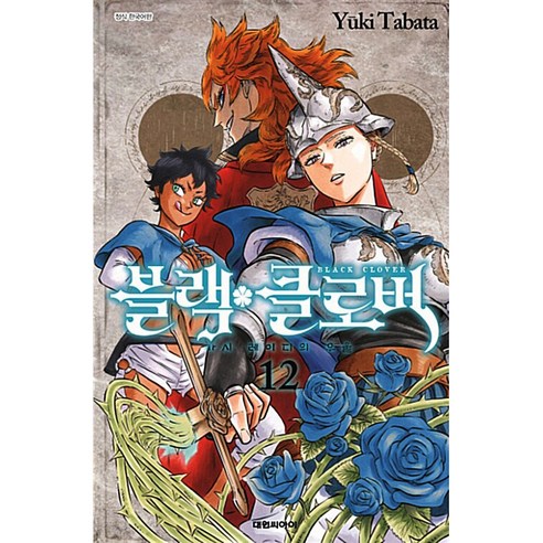 블랙 클로버 : 가시 레이디의 우울, 대원씨아이, 12권