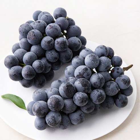 산지직송 아주마 영동 상주산 하우스 거봉포도(1수), 460g, 1개