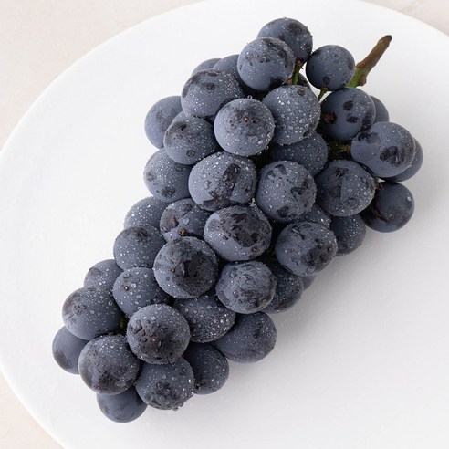 산지직송 아주마 영동 상주산 하우스 거봉포도(1수), 460g, 1개