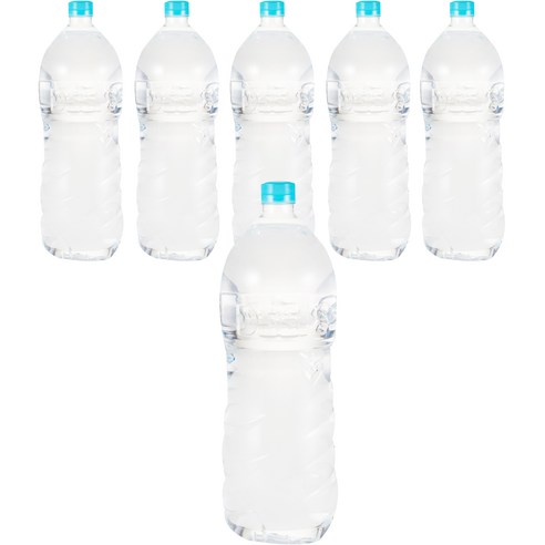 딥스 에코그린, 6개, 2L
