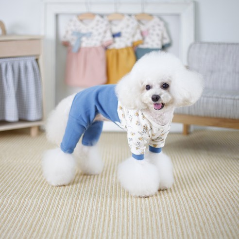 에이미러브즈펫 강아지 고양이 LA 아기꽃 한복, 올인원블루