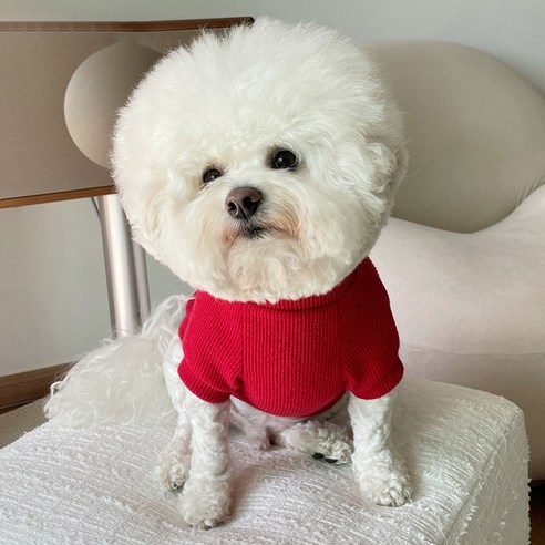 바이담수미 강아지 기모디링티셔츠, 레드