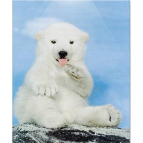 클레멘토니 퍼즐, 새하얀 아기 백곰, 500피스