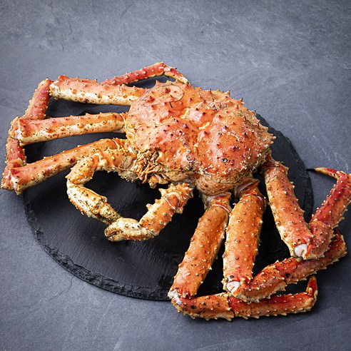 아라보감 산지직송 어제 찐 자숙 킹크랩 (냉장), 1.7kg, 1개
