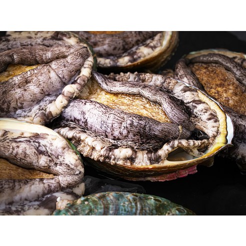 바다의 신선함을 집에서 편안하게 즐기세요