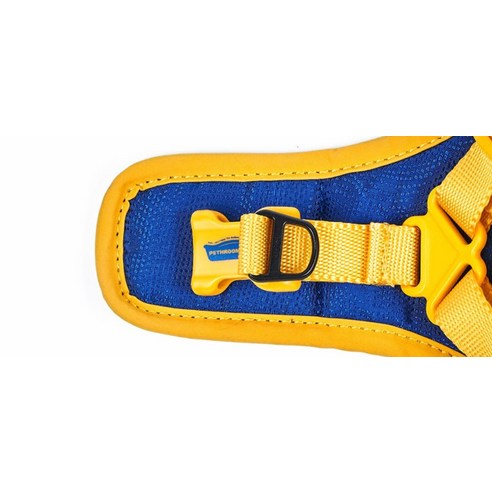 사랑하는 반려견과의 편안한 산책