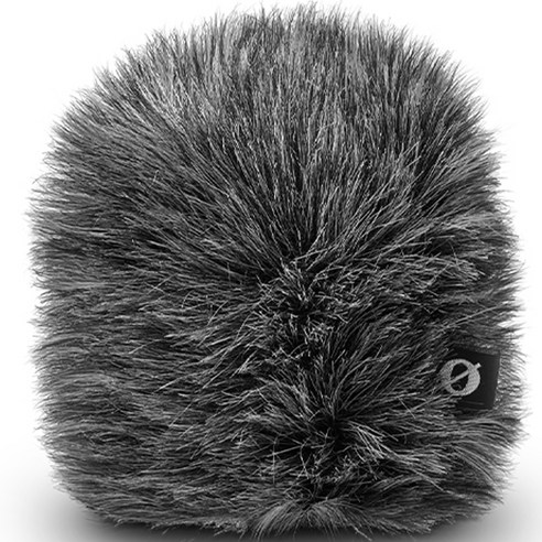 로드 윈드실드, WS12