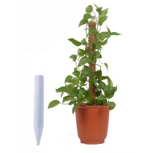 園藝  用品  園藝  工具  植物  支持  電線  支持  支持