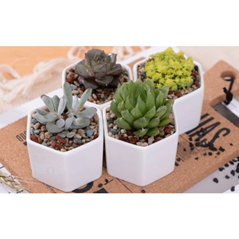 家具  FURNITURES  收納  收納  花盆架  花盆收納  花盆展示架  花盆架  花盆收納架