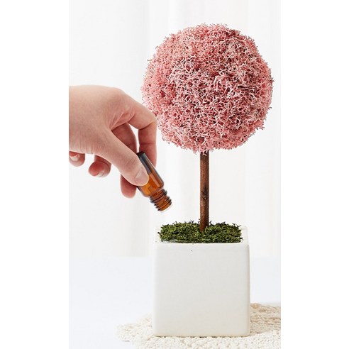園藝 園藝 用品 園藝 苔蘚 植物 苔蘚 用於園藝