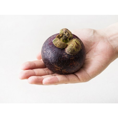 열대의 여왕, 수플린 망고스틴으로 황홀한 미식 경험을 선물하세요.